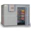 cold room cold storage quick-freezer for restaurant