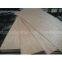 commercial bintangor plywood