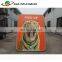 Inflatable Jumping Mat / Inflatable Gym Mat / Air Track Air Mat