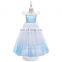 Queen Elsa Inspired Dress Up Girl Party Halloween Elsa Cosplay Costume for Christmas