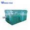 6kv 10kv three phase efficiency compressors ac electric motor