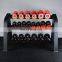 Professional Hot sale commercial gym equipment YW-1702B  Beauty Dumbbell Rack