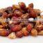 super quality pome seeds largest exporters