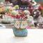 Indoor Small Animal Fox Shape Small Mini Ceramic Succulent Flower Plant Planter Pot