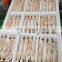 Wholesale IQF frozen squid fish for fishing bait