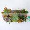 New Product Pots & Planters Groot Decorative Rectangle Metal Modern Garden Cheap Ceramic Succulent Natural Flower Pot