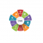 Web Developers Web Design Custom Content Management Software for Business Growth Available at Wholesale Price