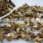 Fibrin Dried White FUNGUS MUSHROOM 2016