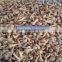 IQF Frozen Nameko M L grade European market