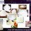 1.Supply Modified Starch/Denatured Starch Processing Line