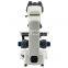 ZHONGXUN ZX-118 New High Quality Biological Microscope Theory and Binocular Drawtube Biological Microscope