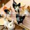 Doll Key Chain Multicolour Pussy Key Chain Ring Kitty Kitten Model Chaveiro Keychain