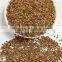 roasted buckwheat browen colour best quality
