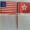 Customized Fancy Mini Country Flag Toothpicks