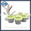 Creative Tree Shaped Pop-up Spice Rack Holder 6pcs Set
