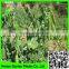Garden Pea Trellis Netting Garden support Mesh Net Climbing Plant Support Netting