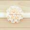Deshine New Design Wholesale Flowers Cheap Headband H-95
