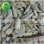 Chinese Refined Sunflower Oil Sunflower Kernels
