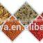 Aquarium Fish Feed Processing Line