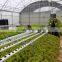 Irrigation equipment and Hydroponics NFT Systems For Greenhouse
