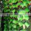 New fashion besting selling product artificial ivy artificial grape vines for decoration