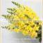 china importers long stem small petals fresh cut antirrhinum flower
