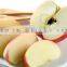China Fresh Sweet Fuji Apple Red Apple