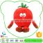 2015 Popular Luxury Quality Low Price Personalized Lovely Vegetables Tomato Stuffed Doll
