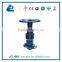 WCB Butt Weld Gate Valve