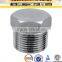 F316L Forged Stainless Steel Pipe Fittings Square Head Pipe Plug Cap