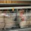 design layer chicken cages for kenya poultry farm