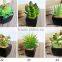 Factory Sale Artificial Succulent Plants Mini Potted Artificial Succulent Plants