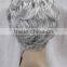 Light Gray Mixed Short Middle-aged / Older Women Ladies Female Wig N536