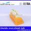 Pit and Fissure Model Dental Eduction Assitant No. DEA-19