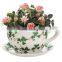 ceramic hand painted tea cup & saucer planter