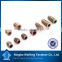 Hot selling in Poland Hex deep Hole confimate wood screw