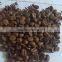 Coffee Bean - agroviet@hotmail.com
