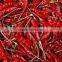 Indian Dry Chilli/ Guntur S 3 , 4 Andhra Sannam dry red Chilli