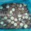 frozen shiitake