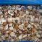 Frozen Mushroom Boletus Edulis