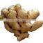 Air-Dried Ginger in Low Price