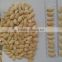 Hot Sale Chinese ISO9001 HACCP Pumpkin Seeds