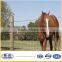 Cattle Agriculture Field Fence