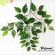 Factory direct plastic handle high simulation banyan tree leaf green leaf decoration sets do wholesale shooting