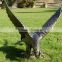 Outdoor animal metal sculpture bronze statue aigle for sale