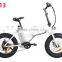 20inch with CE certificate foldable fat tire brushless hub motor electric folding bike