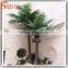 Factory Hot Sale Artificial Coconut Tree Differant Types of Plants and Trees Make Artificial Fake Coconut Palm Tree