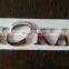 screaming chrome car badge