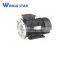 AC Electric Motor