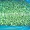 Sinocharm BRC Approved 20*20mm Fresh Crisp Frozen Green Pepper Piece IQF Cut Green Pepper